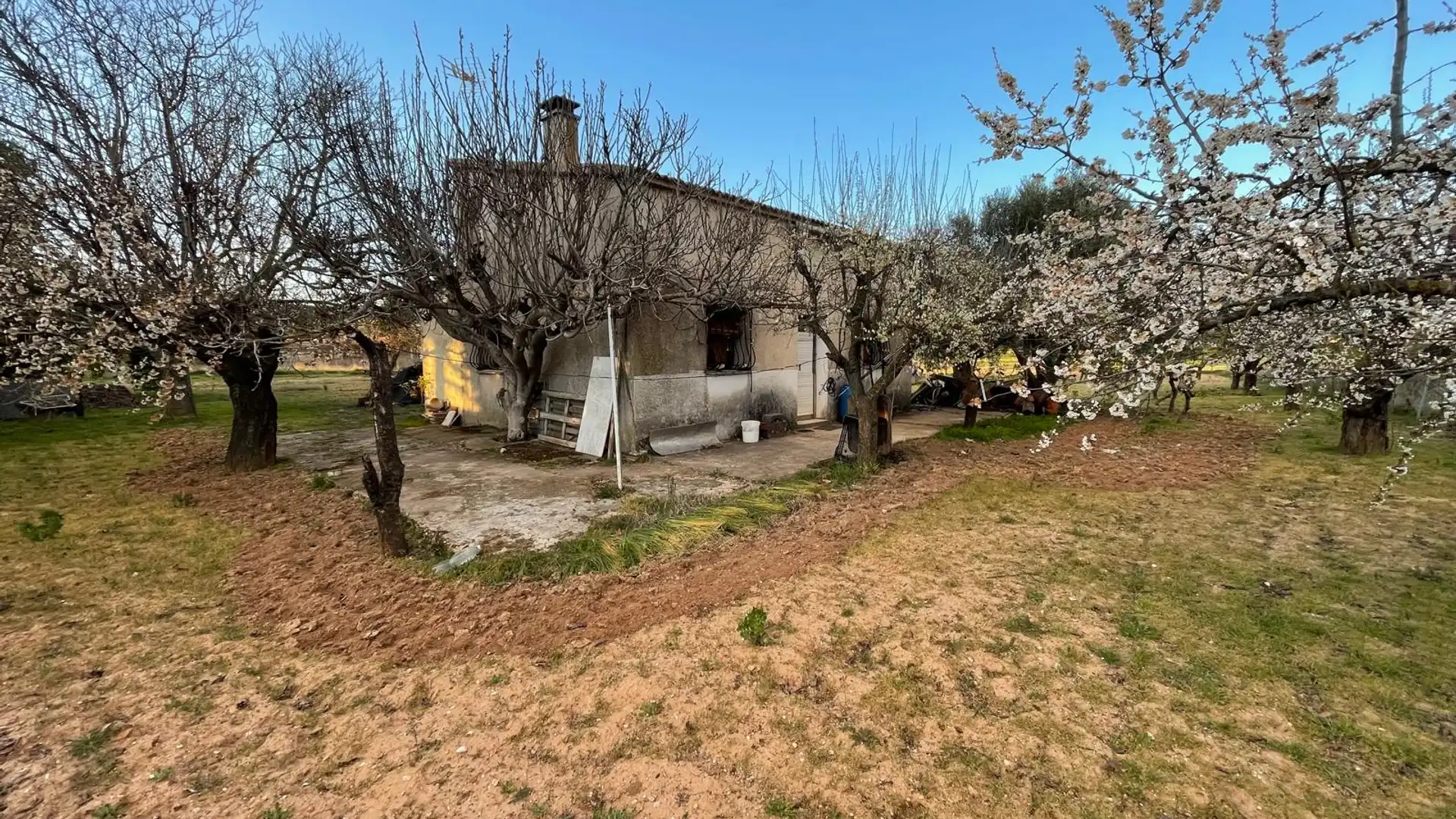 Finca rústica en venta en Tudela de Duero con Jardín privado y Amueblado