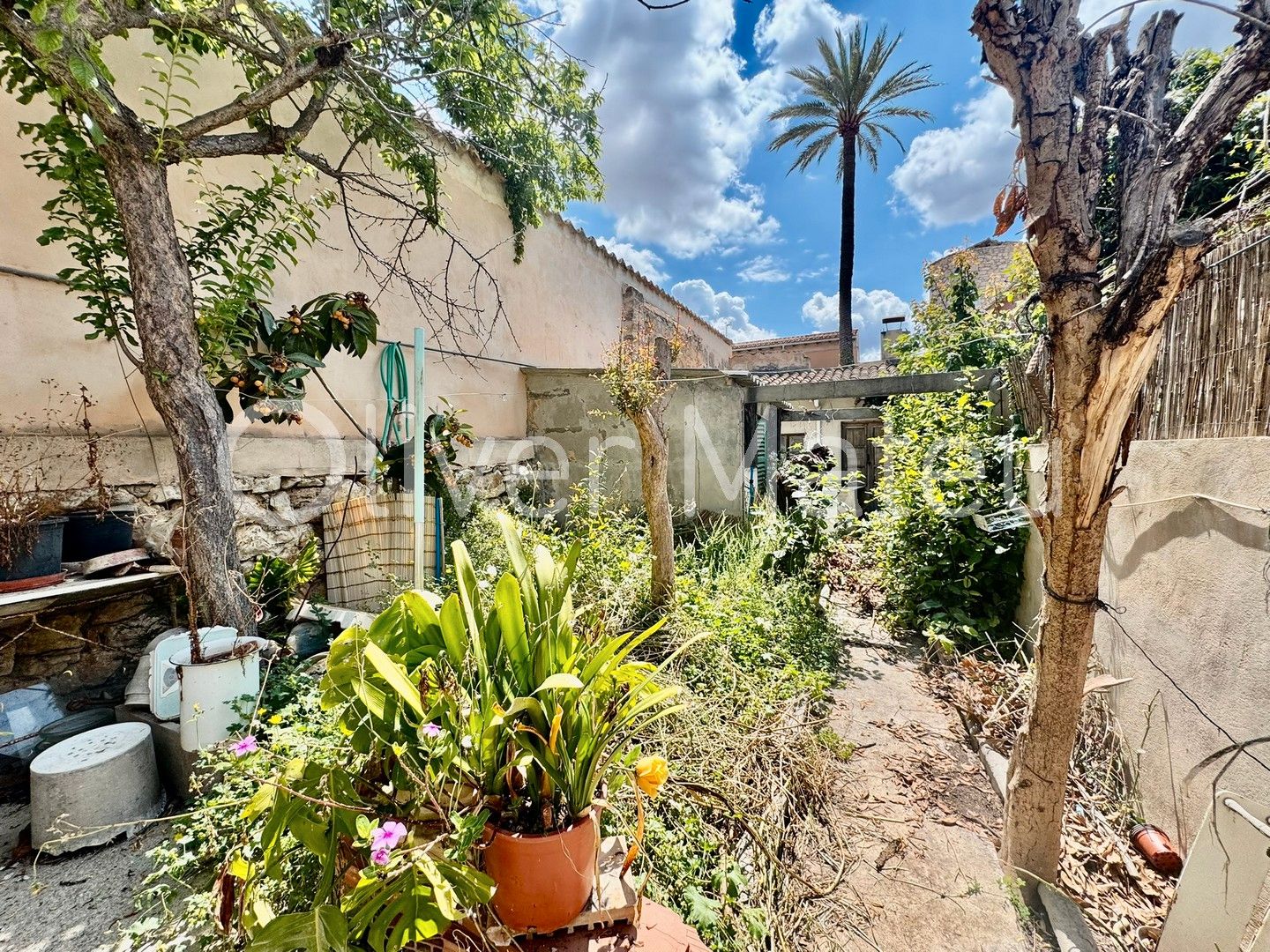Vista exterior de Casa o xalet en venda en Binissalem amb Jardí privat