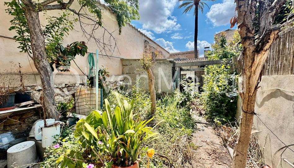 Photo 1 of House or chalet for sale in Binissalem, Illes Balears