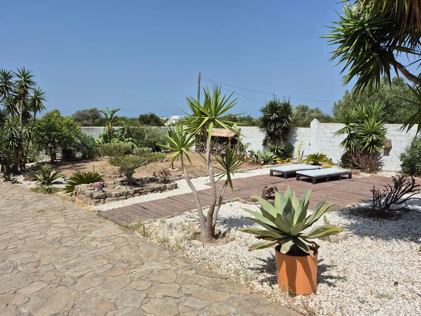 Garden of Country homes for sale in Barbate  with Terrace
