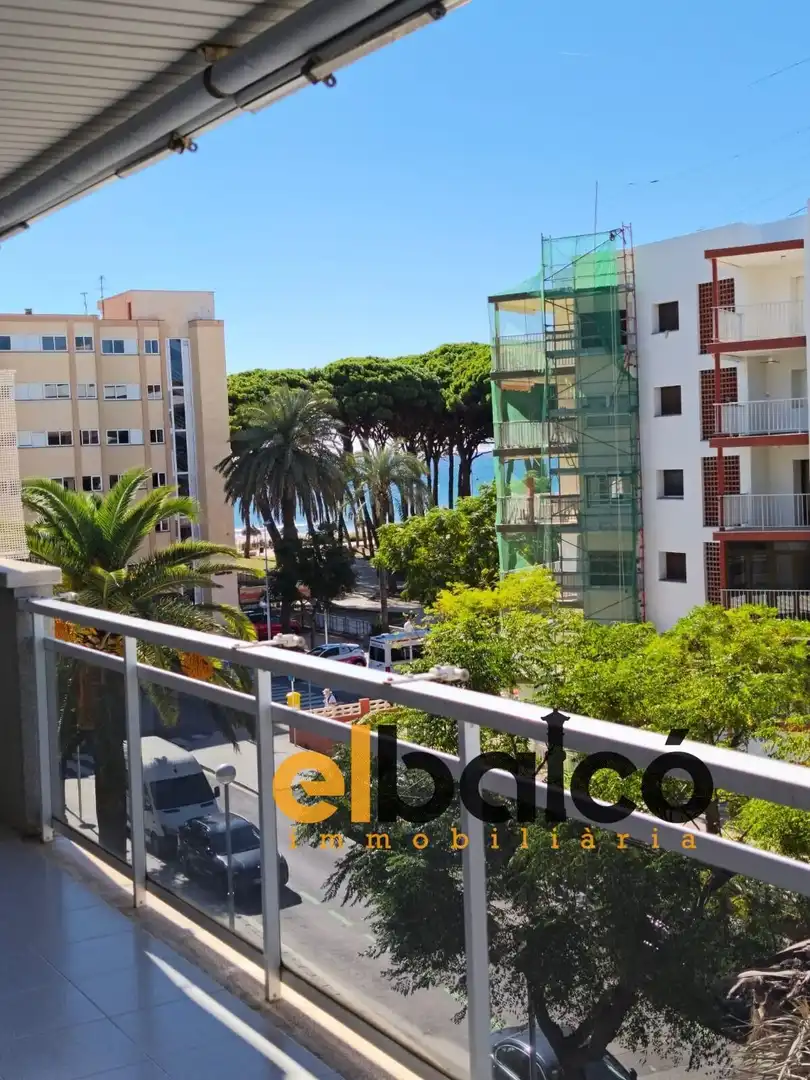 Flat for sale in Carrer d'Emili Vendrell, 4, La Pineda