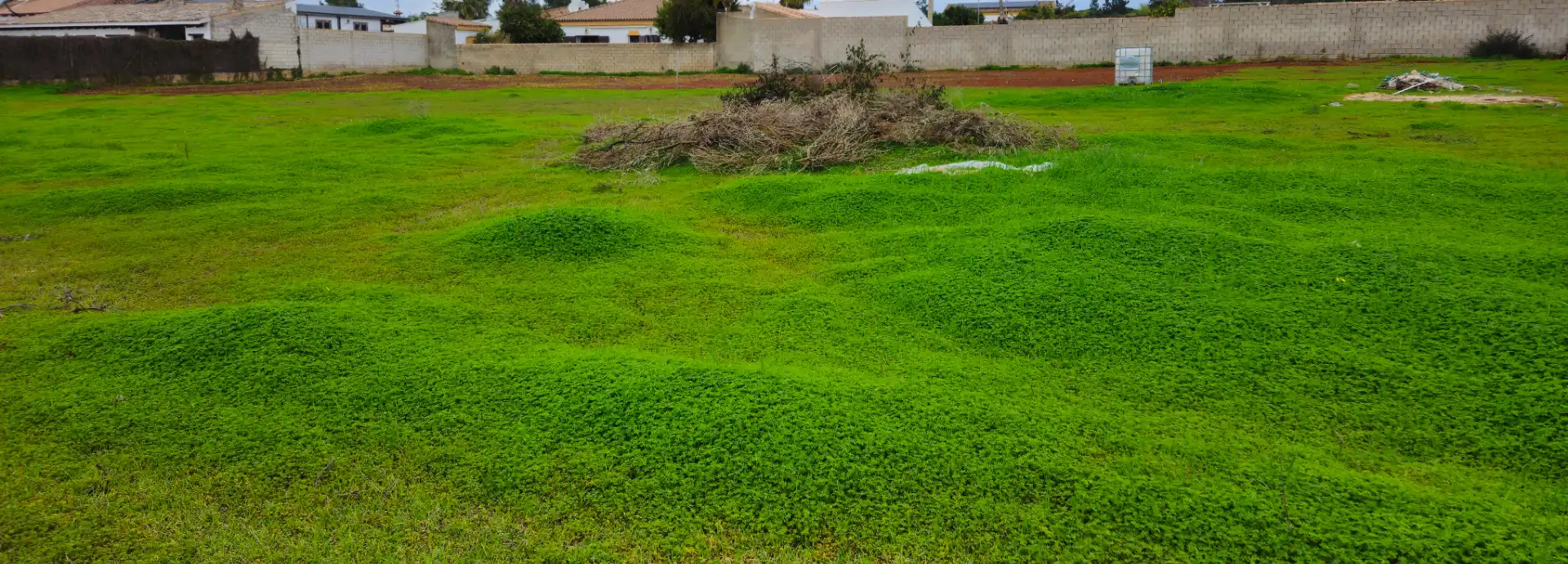 Terreny rústic en venda a Las Lagunas - Campano, imagen 5