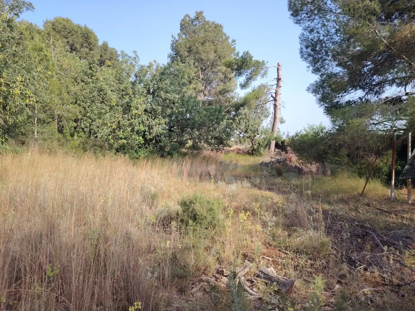 Residential land for sale in Parque de la Bombilla, imagen 6