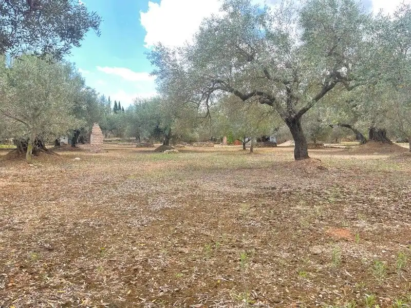 Terreno rustico in vendita a Plaça del Regne d'Espanya 8, imagen 20