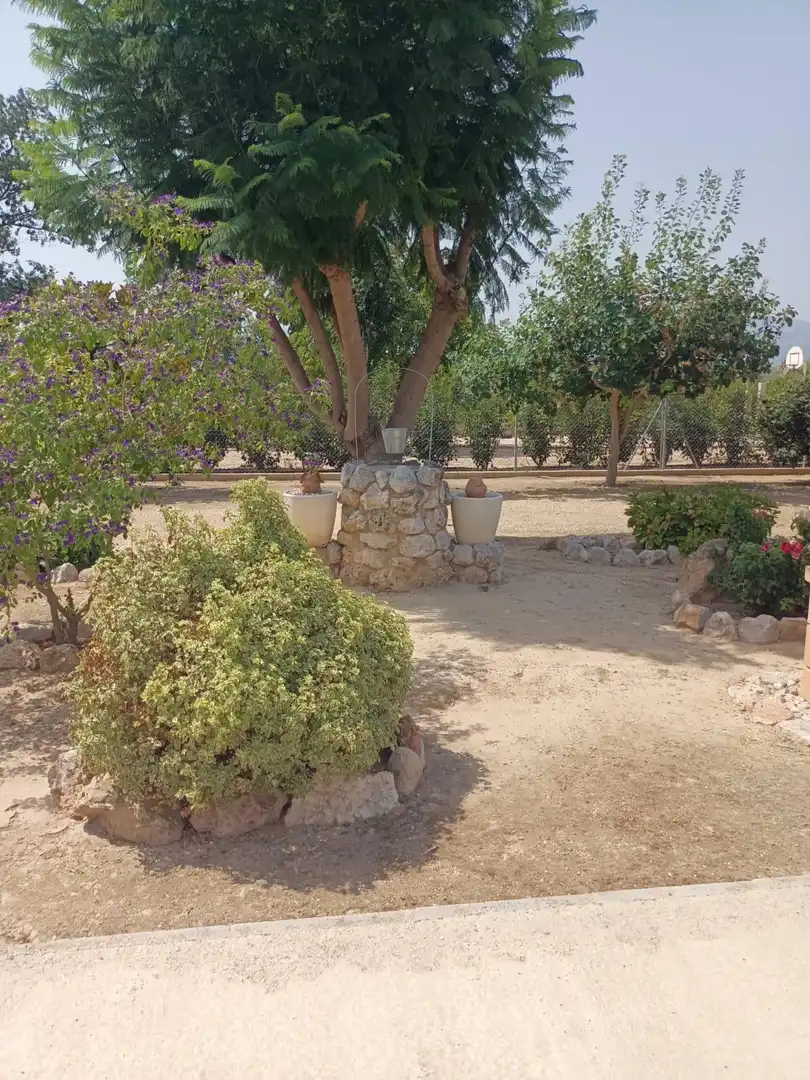 Jardín de Finca rústica en venta en Tortosa