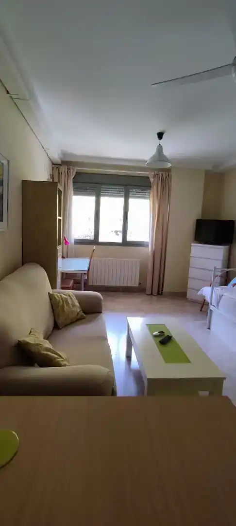 Living room of Study for rent in Badajoz  with Furnished, Oven and Washing machine