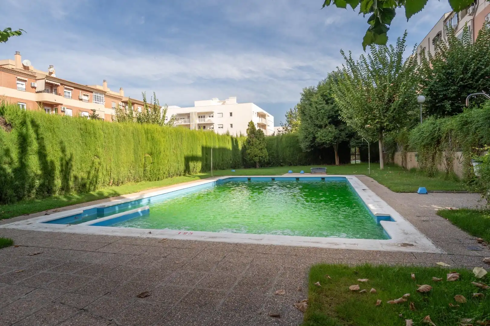 Piso con piscina en venta en Norte, imagen 68