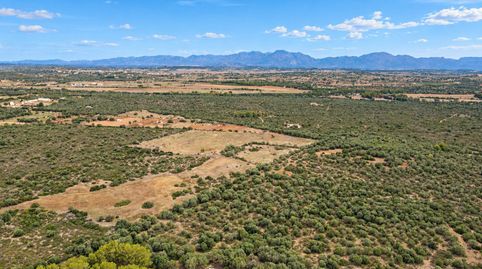 FINCA SON SIURANA, ARIANY ?EUR? 20,7 HECTÁREAS DE MALLORCA AUTÉNTICA Hay lugares en Mallorca donde el tiempo pasa más despacio. So, immagine 4