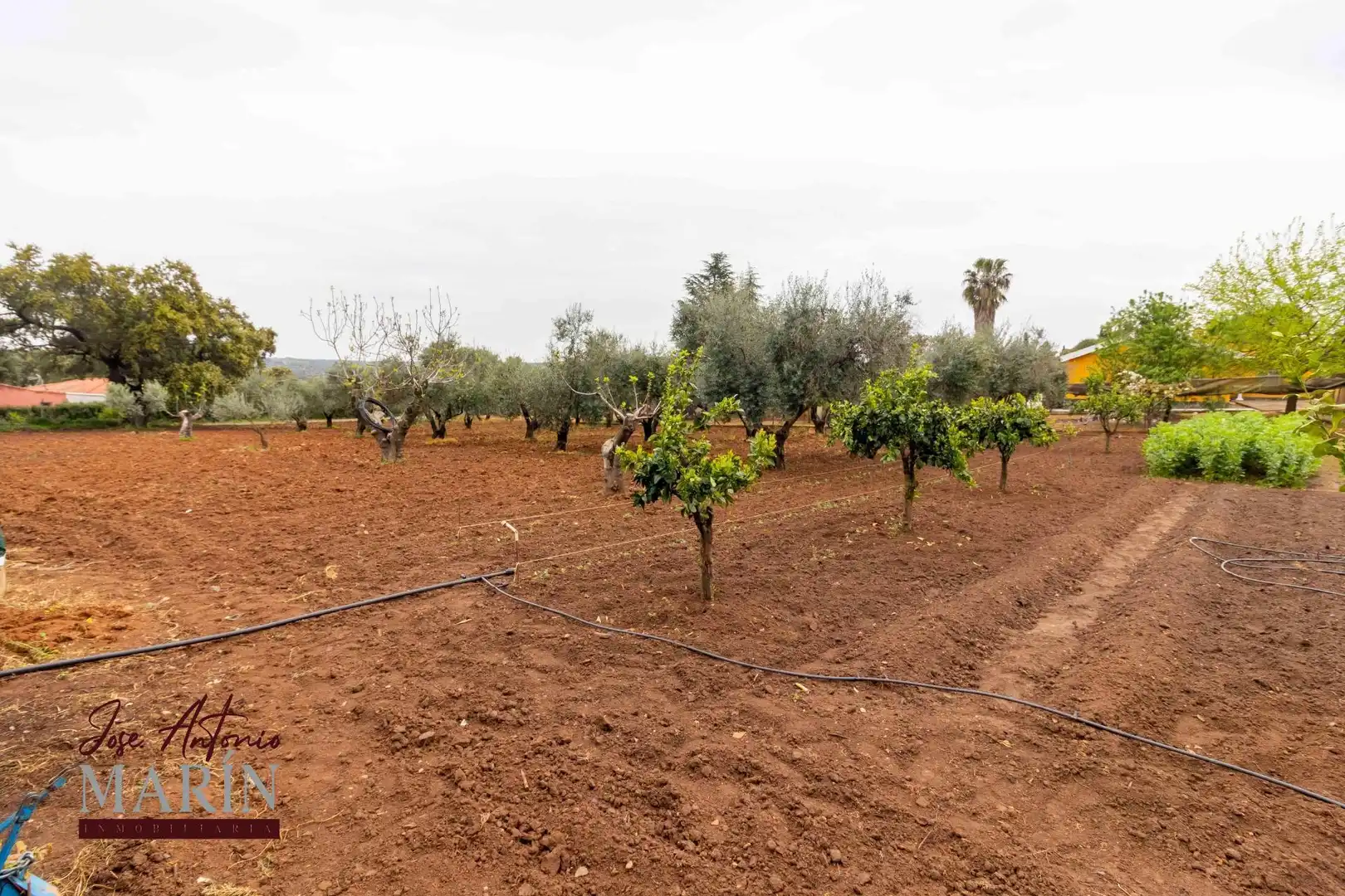 Casa o xalet en venda en Badajoz amb Terrassa, Traster i Moblat