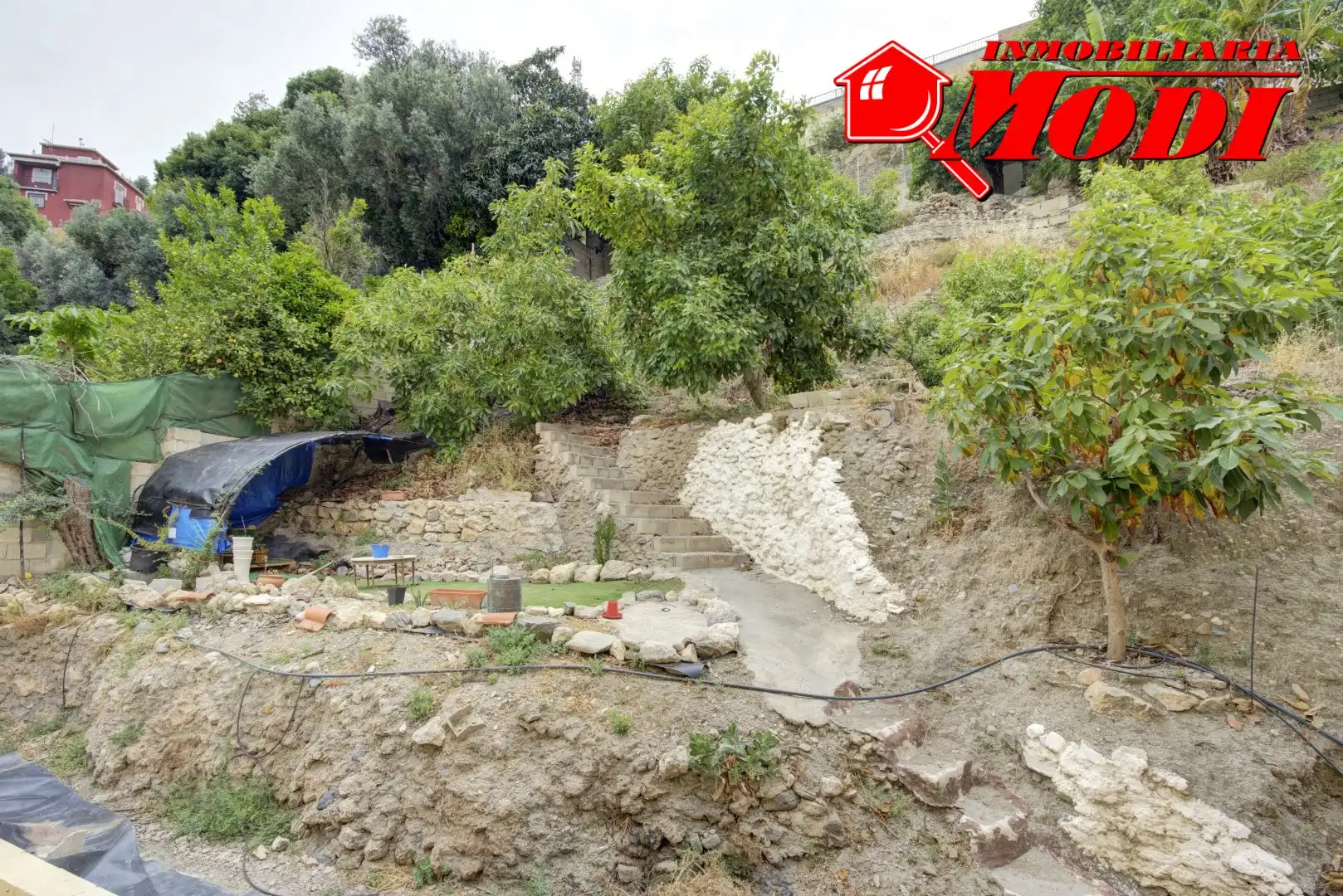 House with terrace for sale in El Pinar, imagen 2