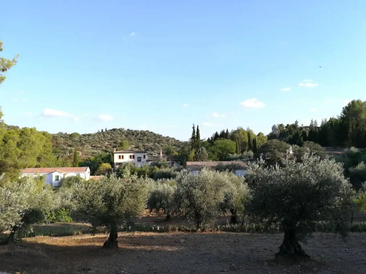 Garden of Buildings for sale in Toledo