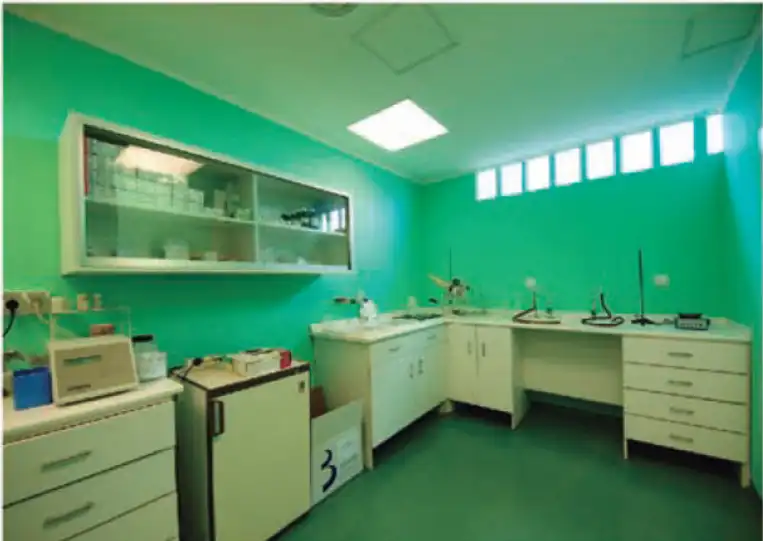 Industrial building for sale in Via Pasteur, imagen 10