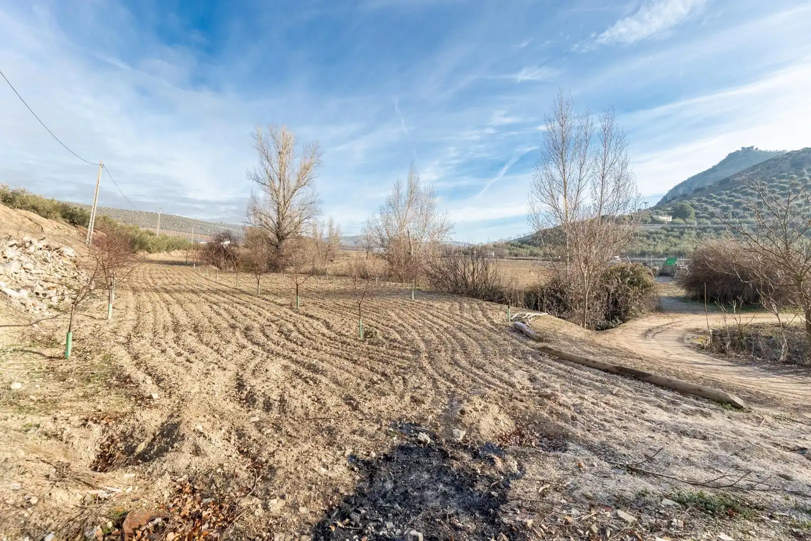 Finca rústica en venta en Píñar