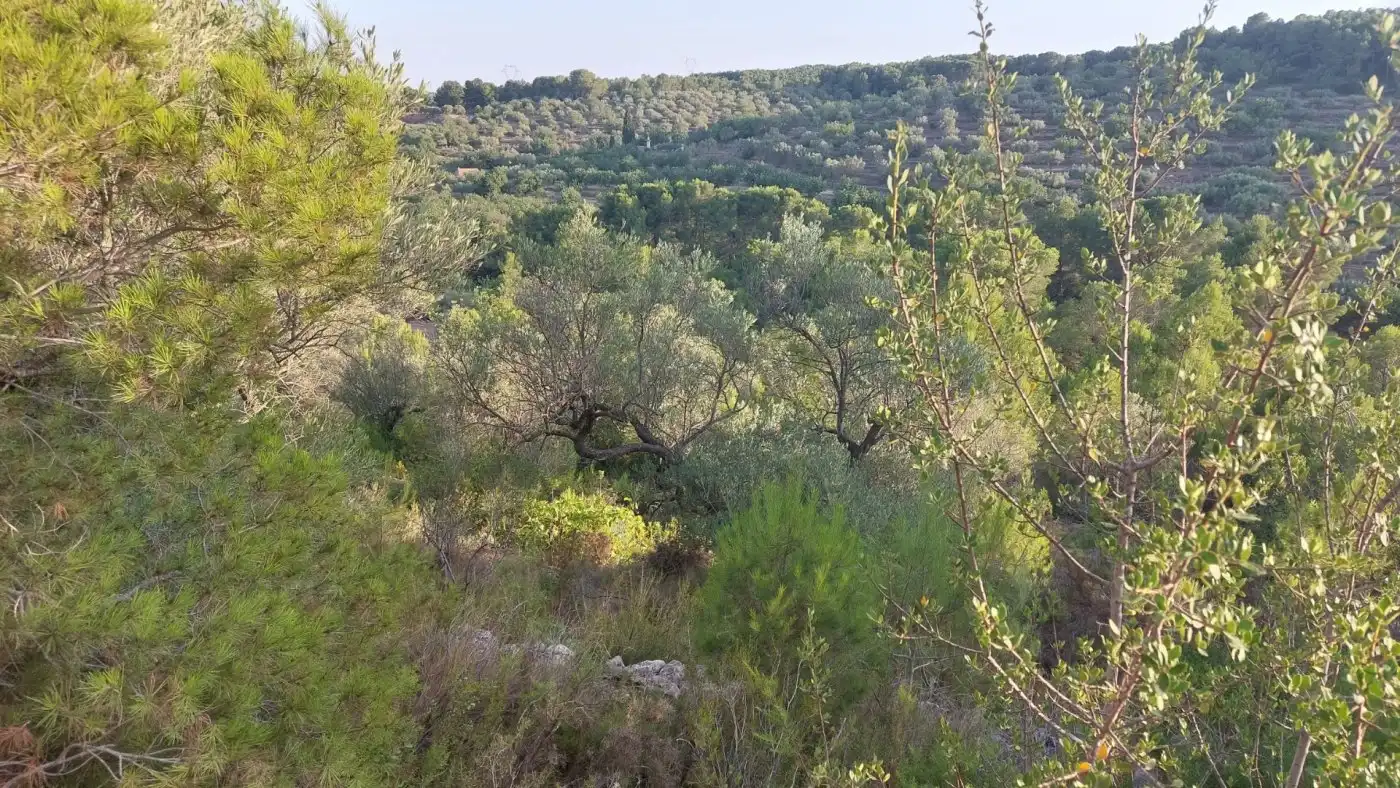 Terreno rustico in vendita a El Perelló, imagen 14