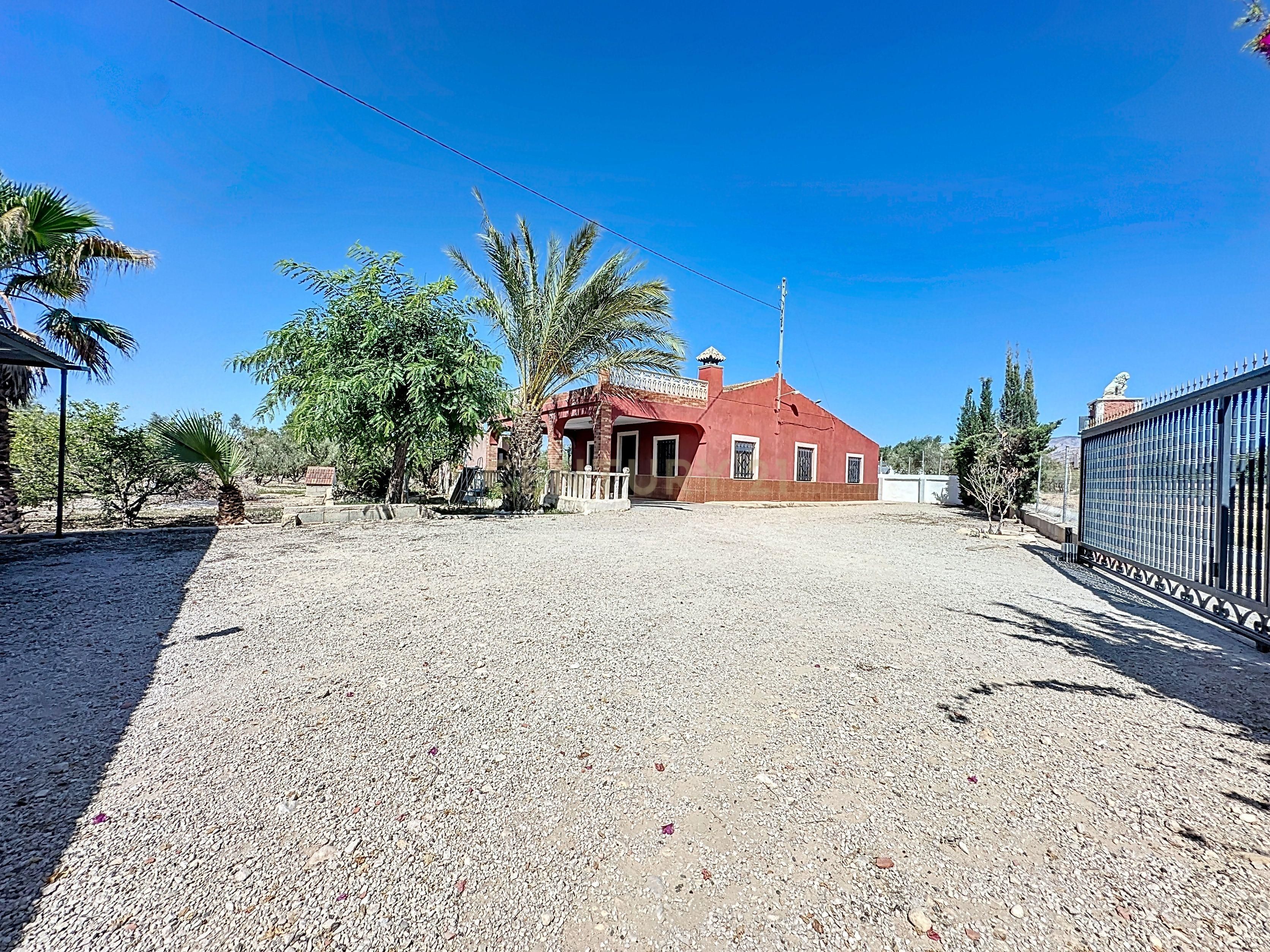 Vista exterior de Casa o chalet en venta en Elche / Elx