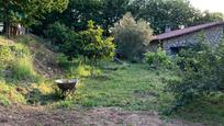 Garden of House or chalet for sale in Hervás