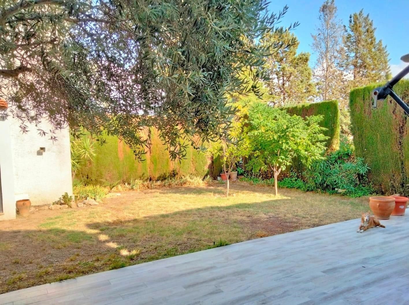 Casa o xalet en venda a Paseo paseo de los olivos