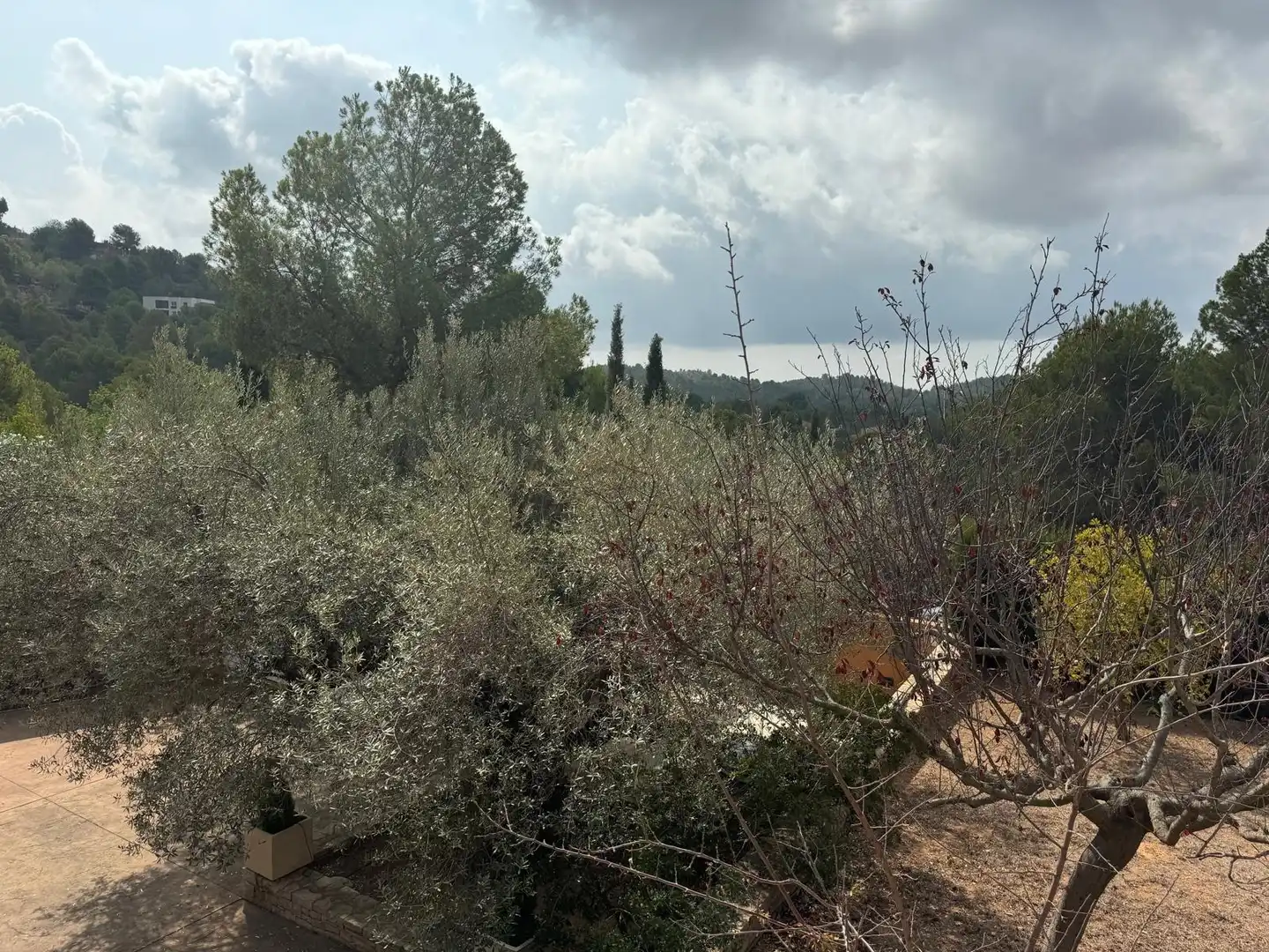 Casa o xalet en venda en Borriol amb Aire condicionat, Jardí privat i Terrassa