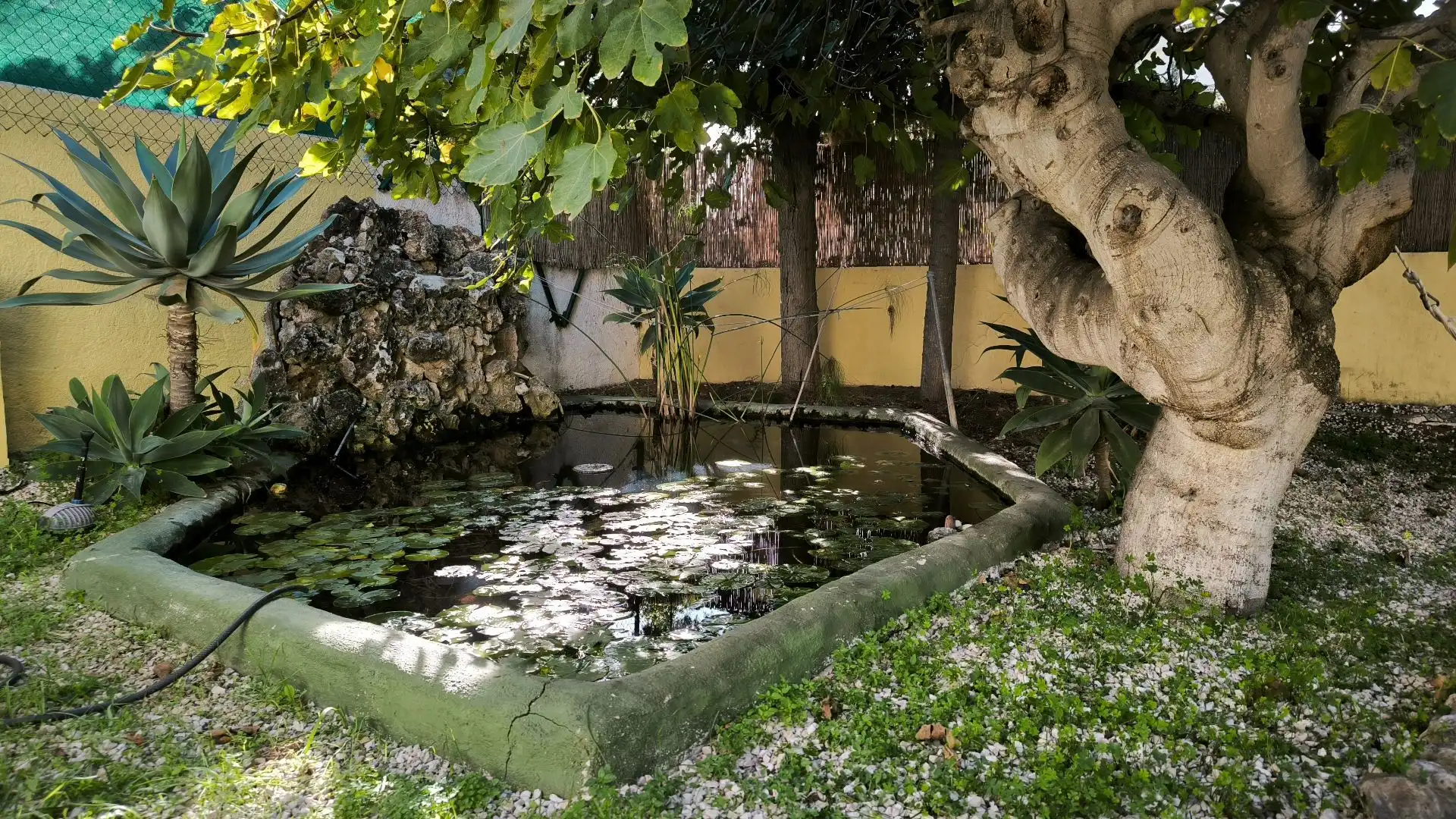 House with pool for sale in La Viña - Montemar - San Jaime, imagen 37