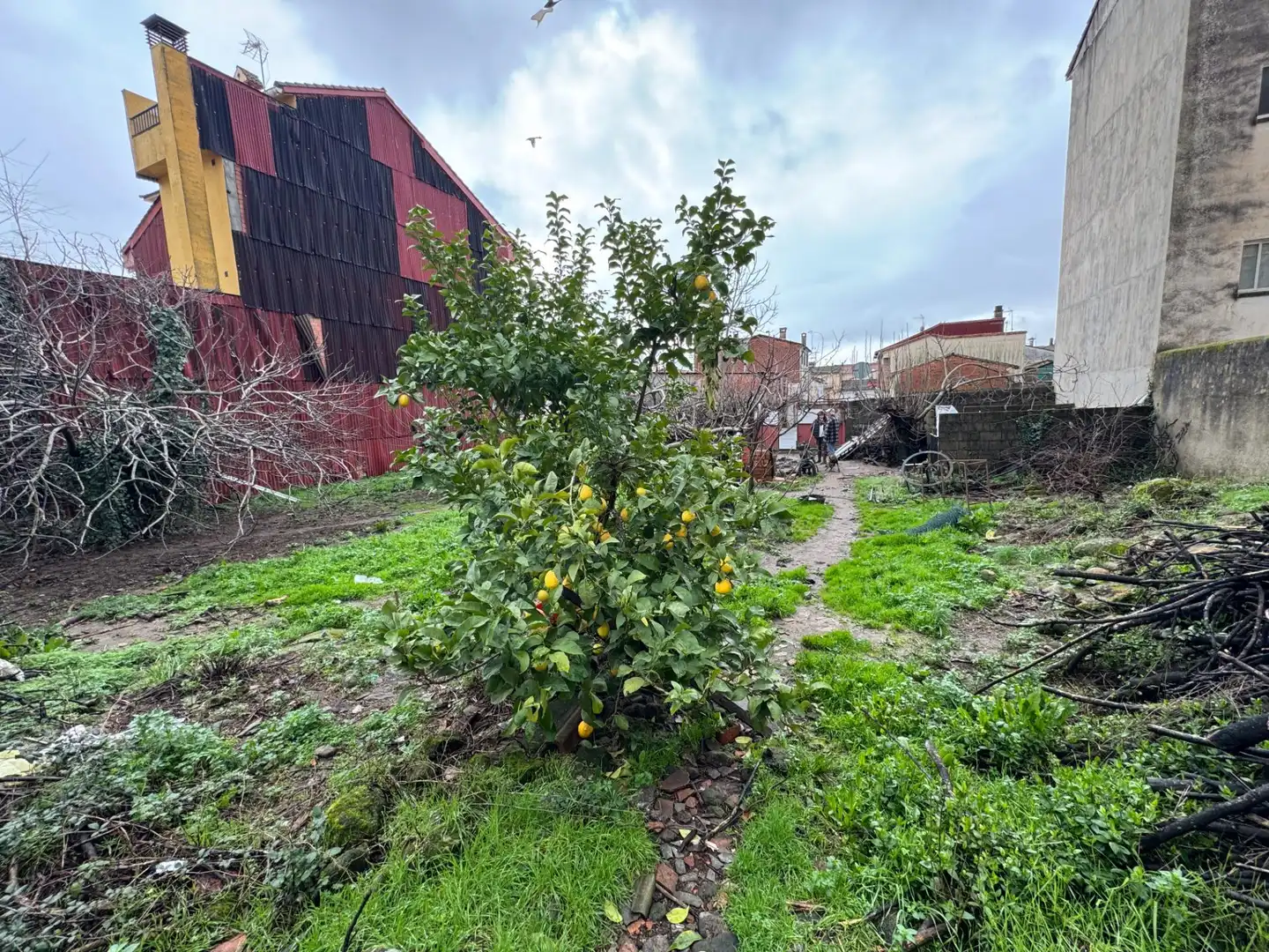 Terreni e lotti in vendita a Candeleda, imagen 5