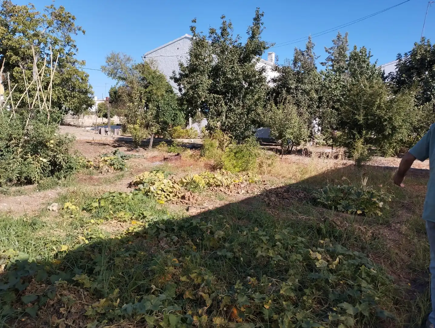 Country house for sale in Calle el Cerro, imagen 5