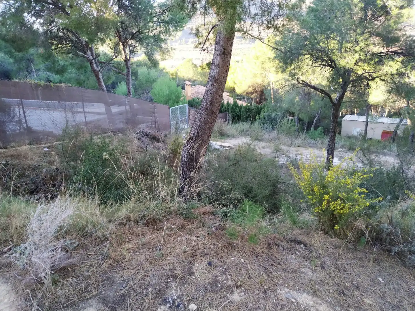 Residencial en venta en Torres Torres