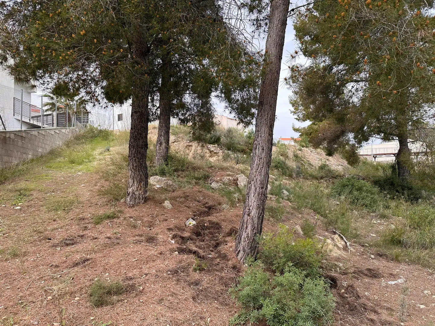 Terreno residencial en venta en Primera Avinguda 41, imagen 9