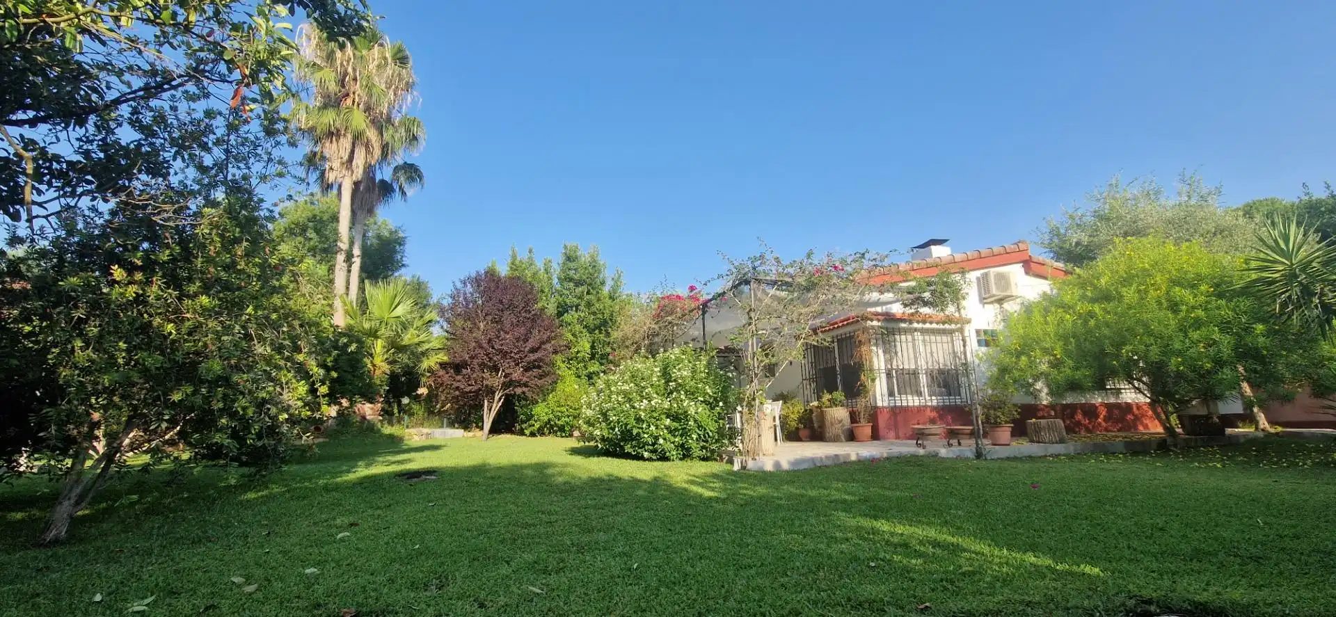 Chalet con piscina en venta en Urbanizacion MALDONADOS, imagen 59