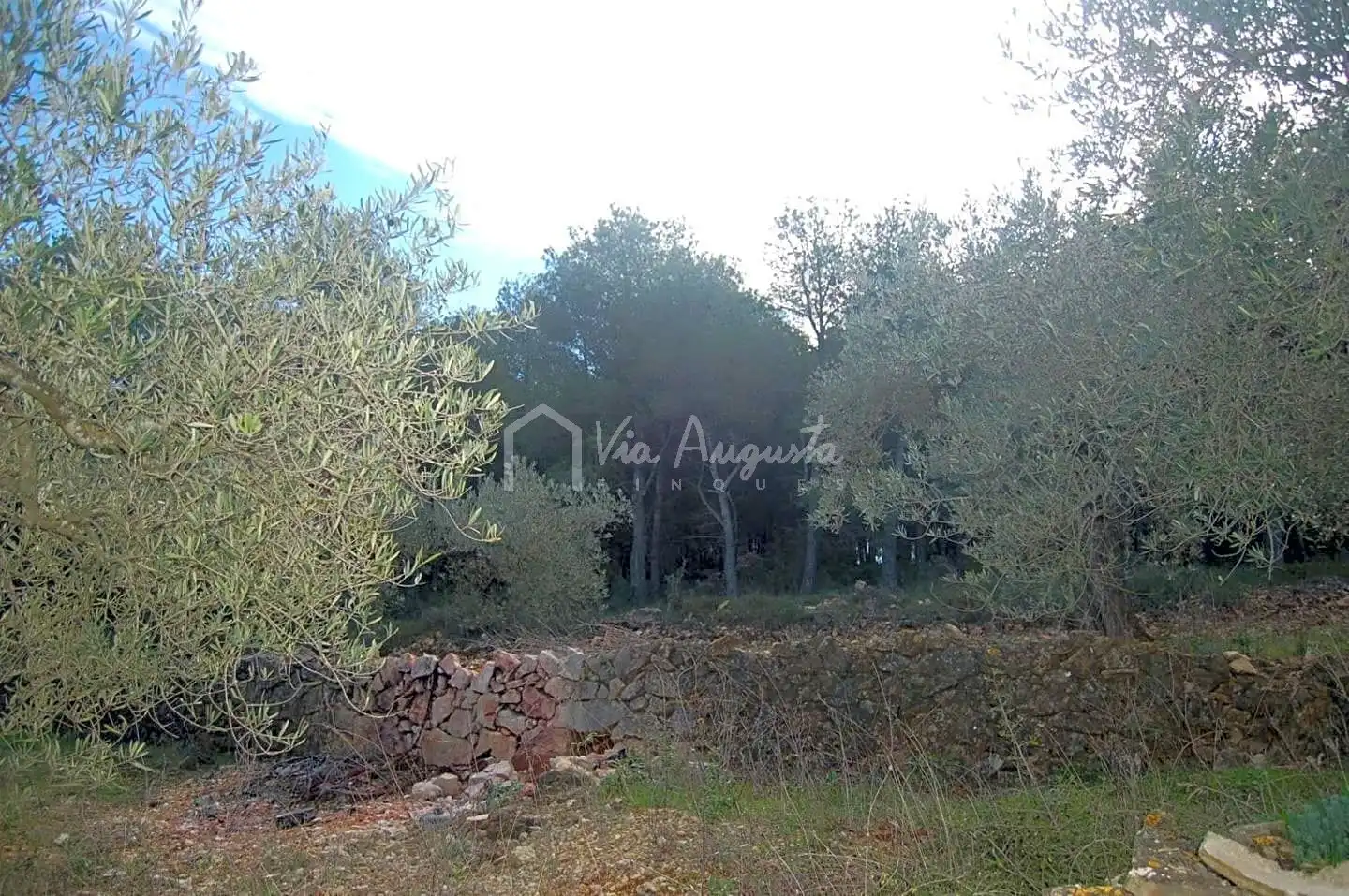Terreno rustico in vendita a Burgar, imagen 11
