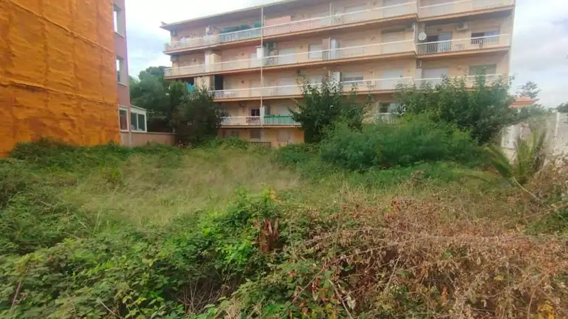 Terreni e lotti in vendita a Lugar Ferradura