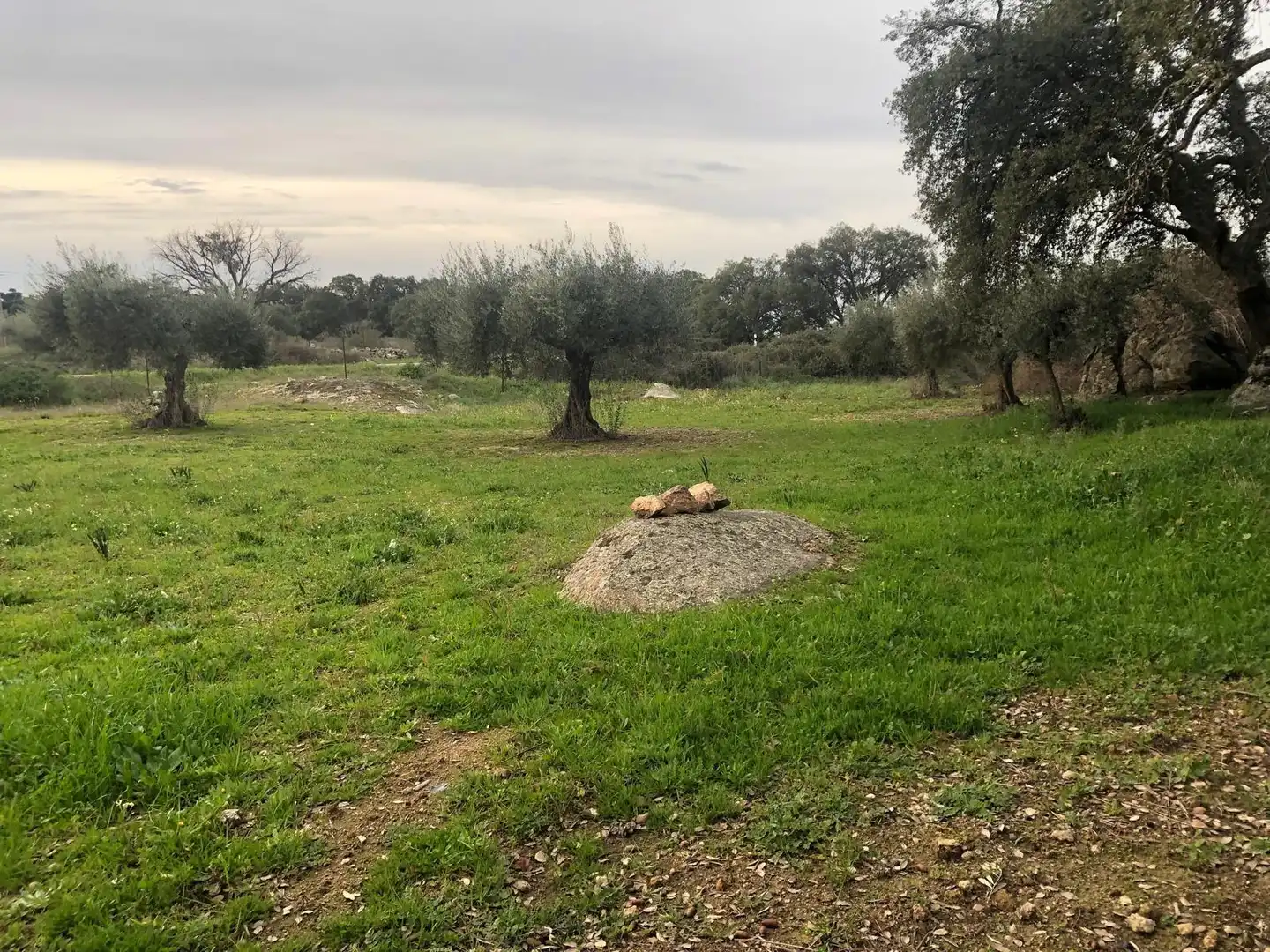 Land for sale in Montánchez