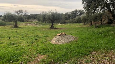 Foto 3 de Terreno en venta en Montánchez, Cáceres