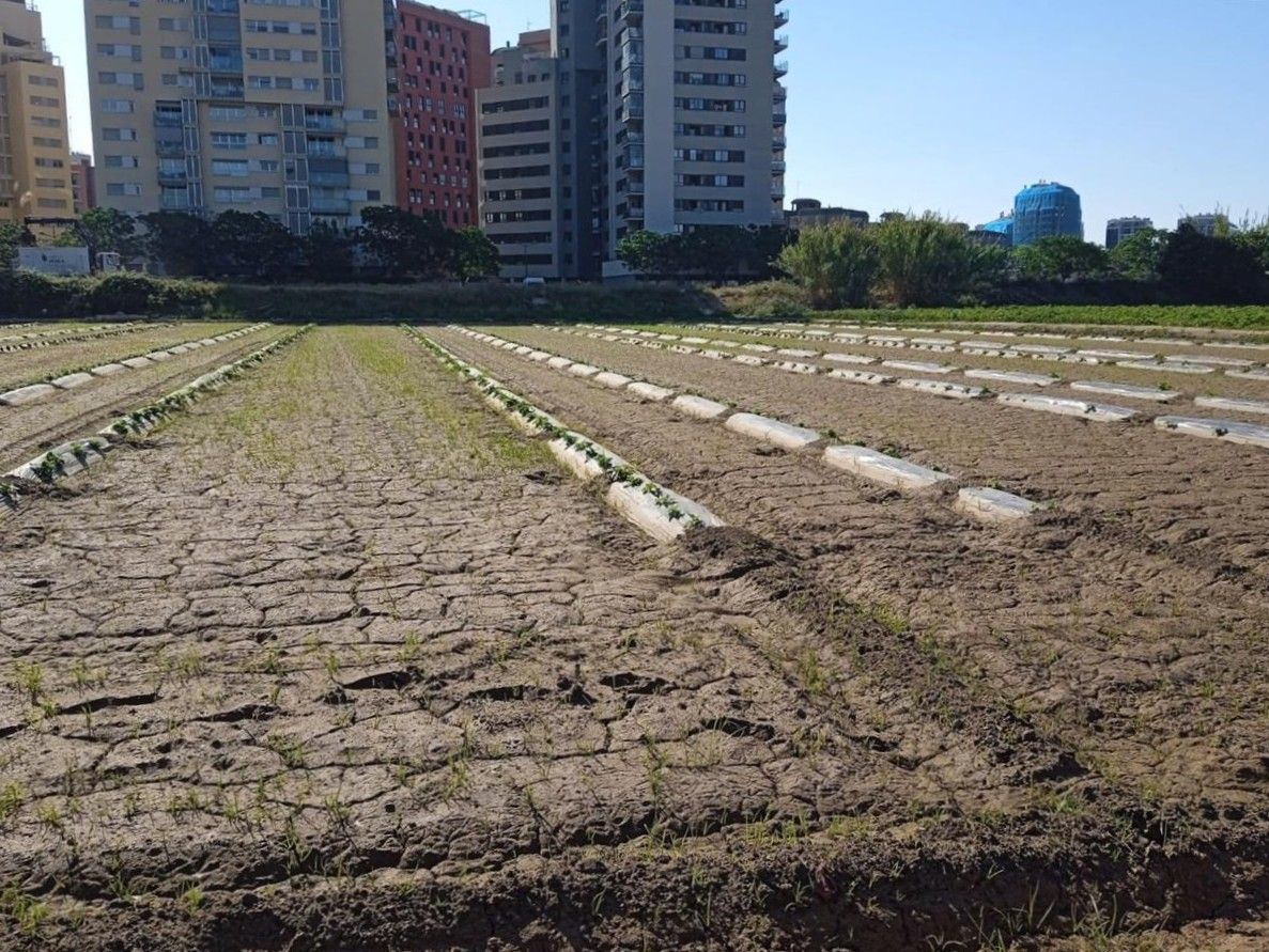 Vista exterior de Residencial en venda en  Valencia Capital