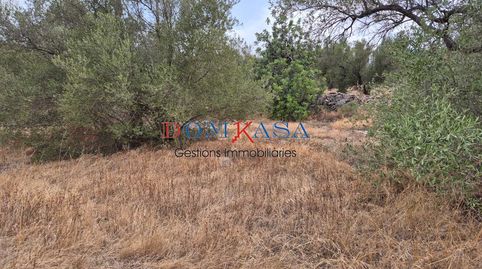 Se vende finca rustica en Roquetes., imagen 2