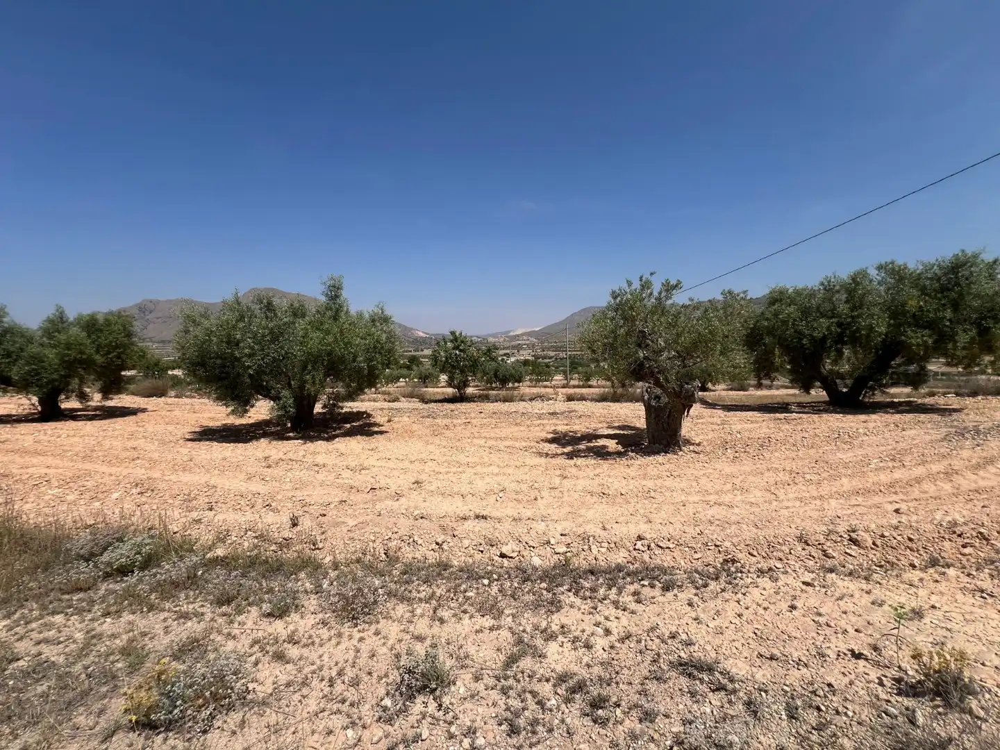 Rural land for sale in La Murada - Los Vicentes