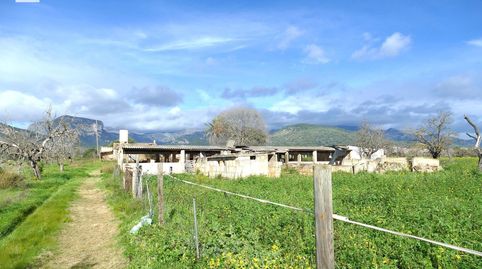 FINCA RÚSTICA DE 22.950 M2 CON DIVERSAS EDIFICACIONES A REFORMAR, imagen 3