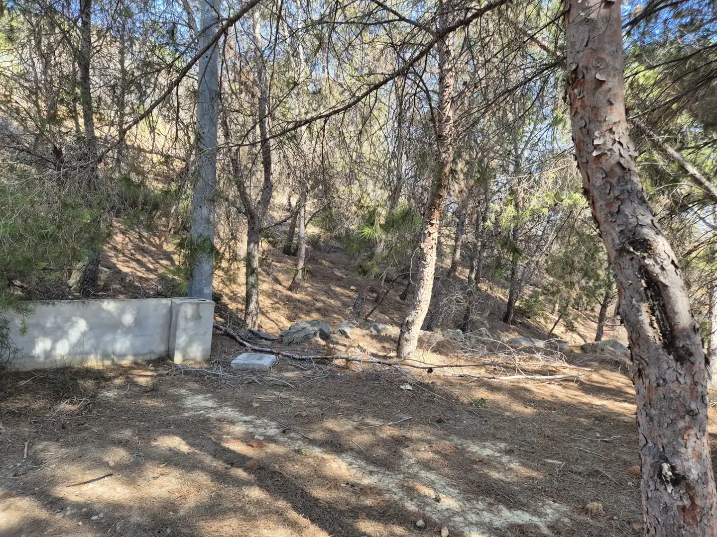 Terrenys i solars en venda a Camino Coto de los Cuadros, imagen 13