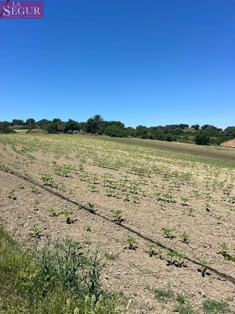 Terreni e lotti in vendita a Vejer, imagen 7
