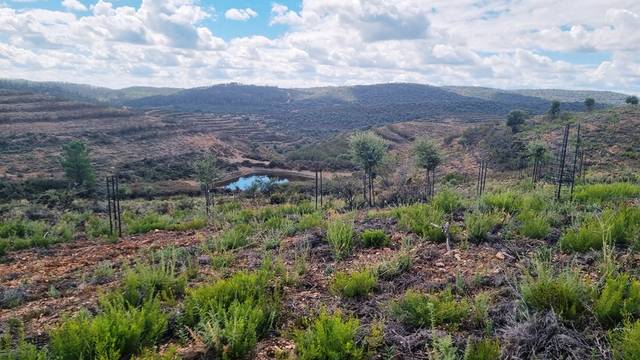 Terreno en Venta en Higuera de la Sierra