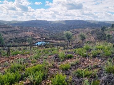 Terreno rustico in vendita a Higuera de la Sierra