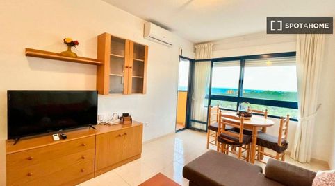 Foto 2 de Habitació a Campoamor, Orihuela
