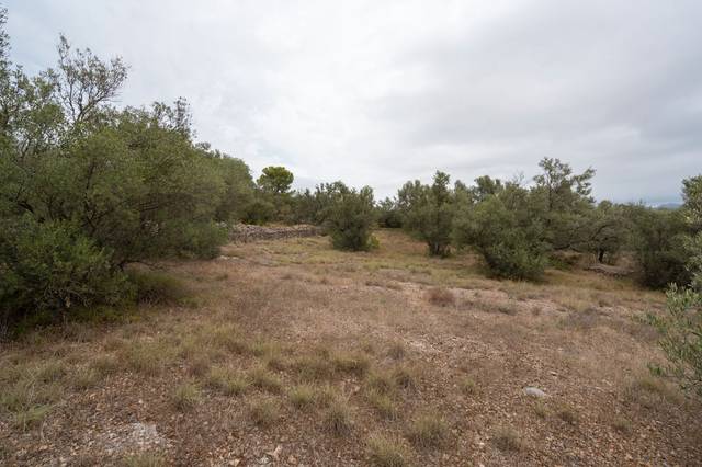 Terreno en Venta en N/A, -1 en Xerta