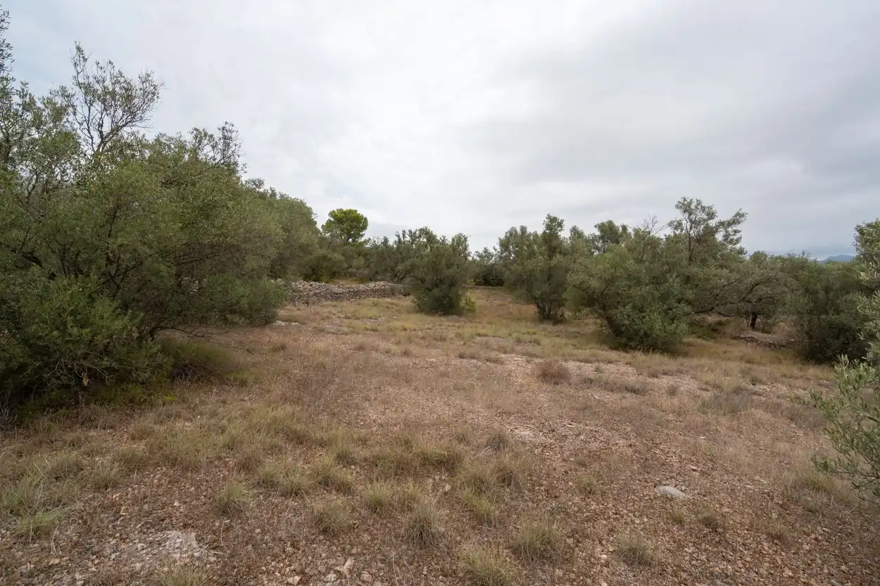 Terrain rustique à vendre à Xerta
