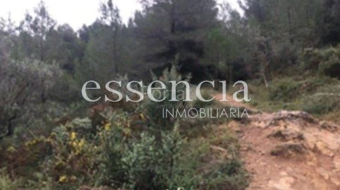 Foto 4 de Finca rústica en venta en Oliva Playa, Oliva