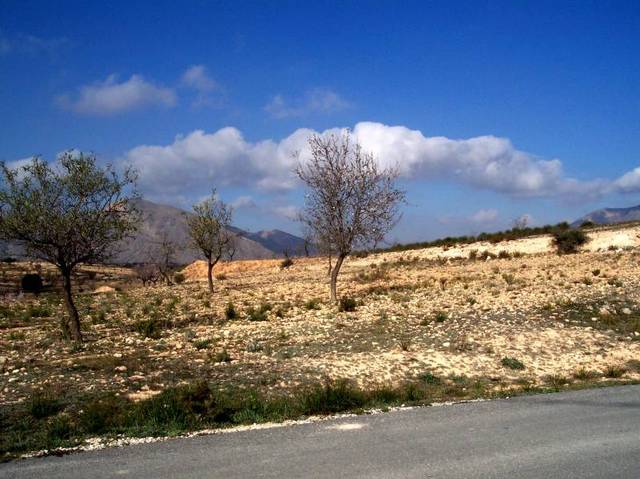 Terreno residencial en Venta en Hondón de los Frailes