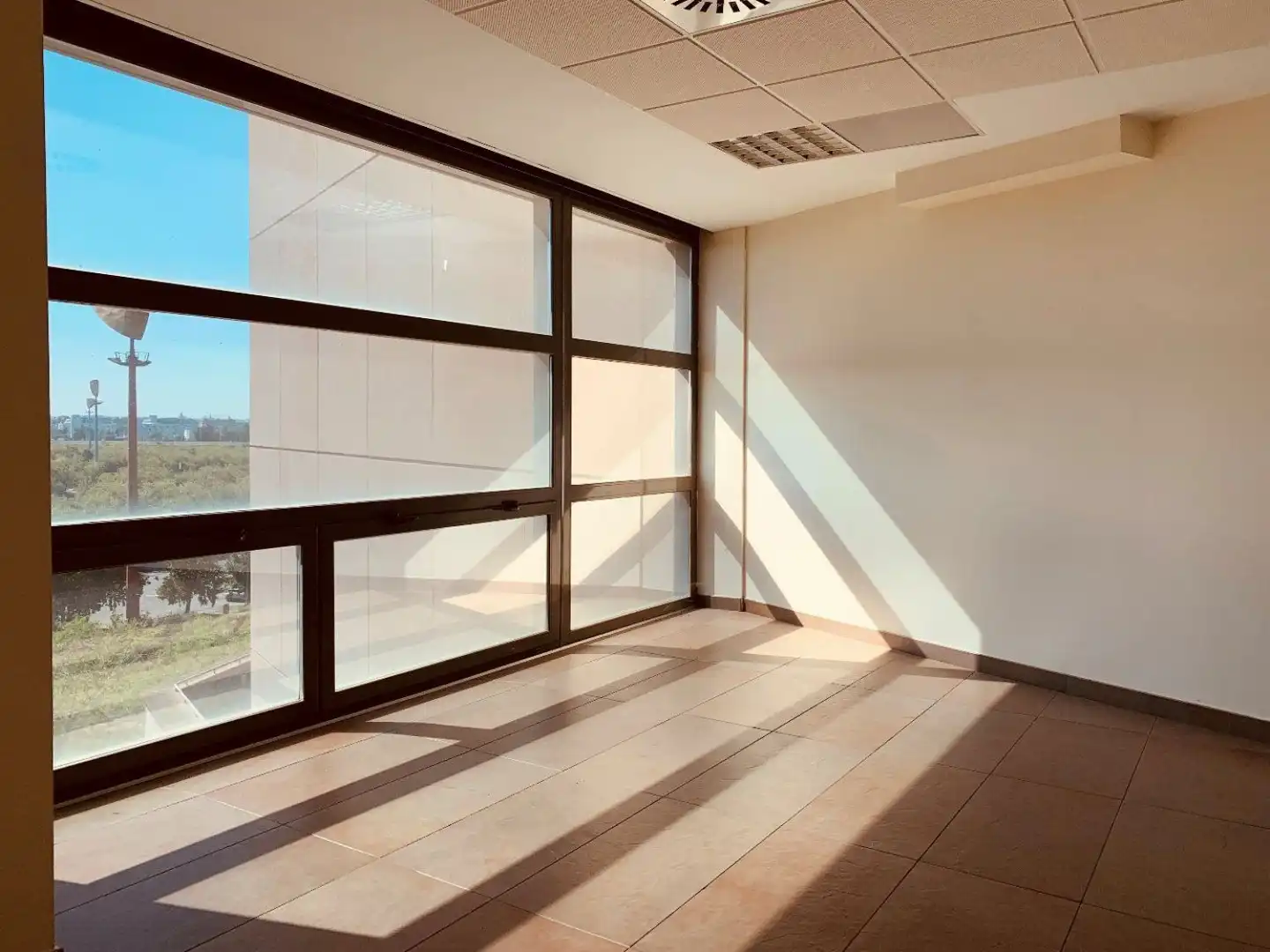 Oficina de alquiler en Santiponce
