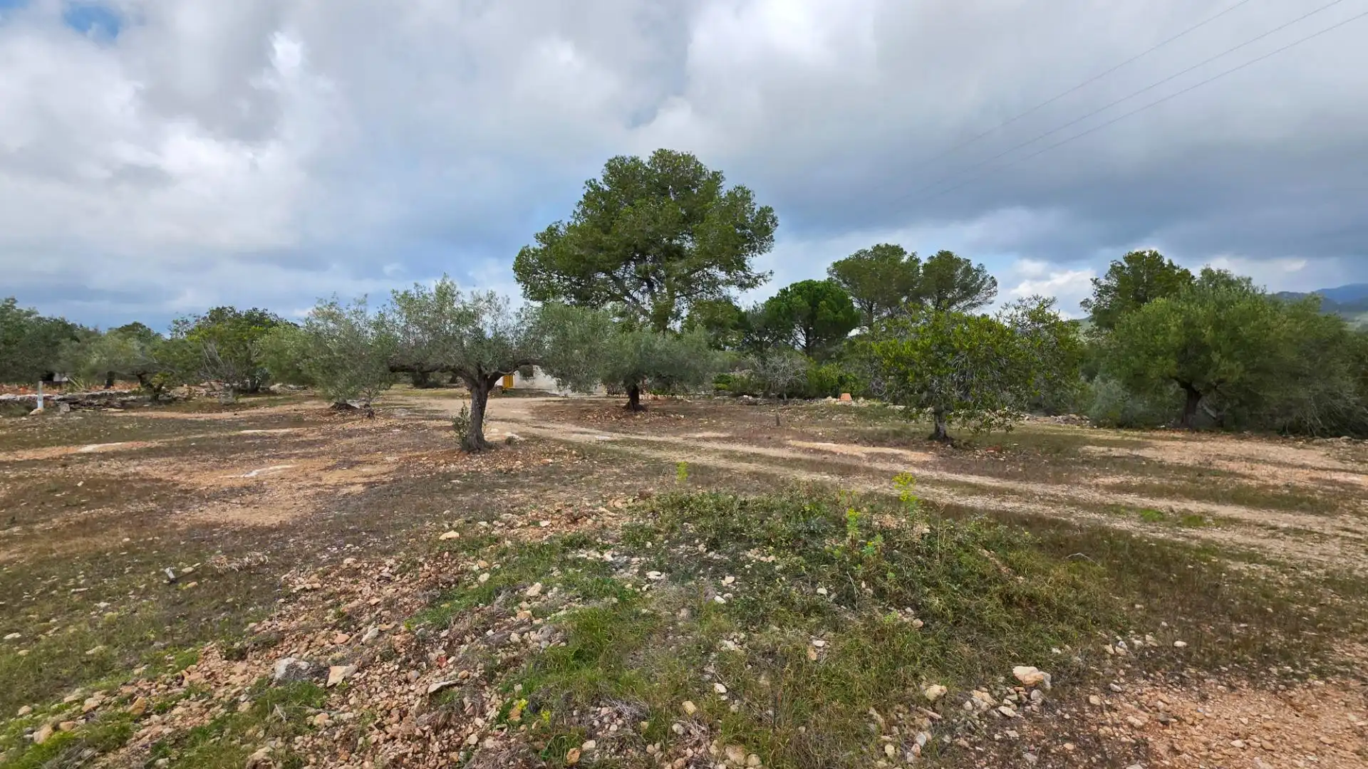 Maison rustique avec jardin à vendre à L'Ametlla de Mar pueblo, imagen 35