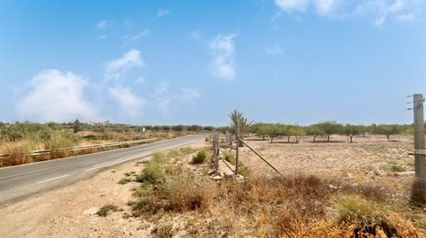 Photo 4 of Land for sale in Font Calent, Hacienda de Casas de San Juan, -1, Fontcalent, Alicante