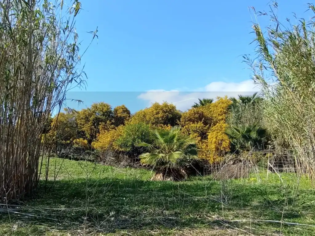 Country homes for sale in Estepona  with Private garden and Terrace