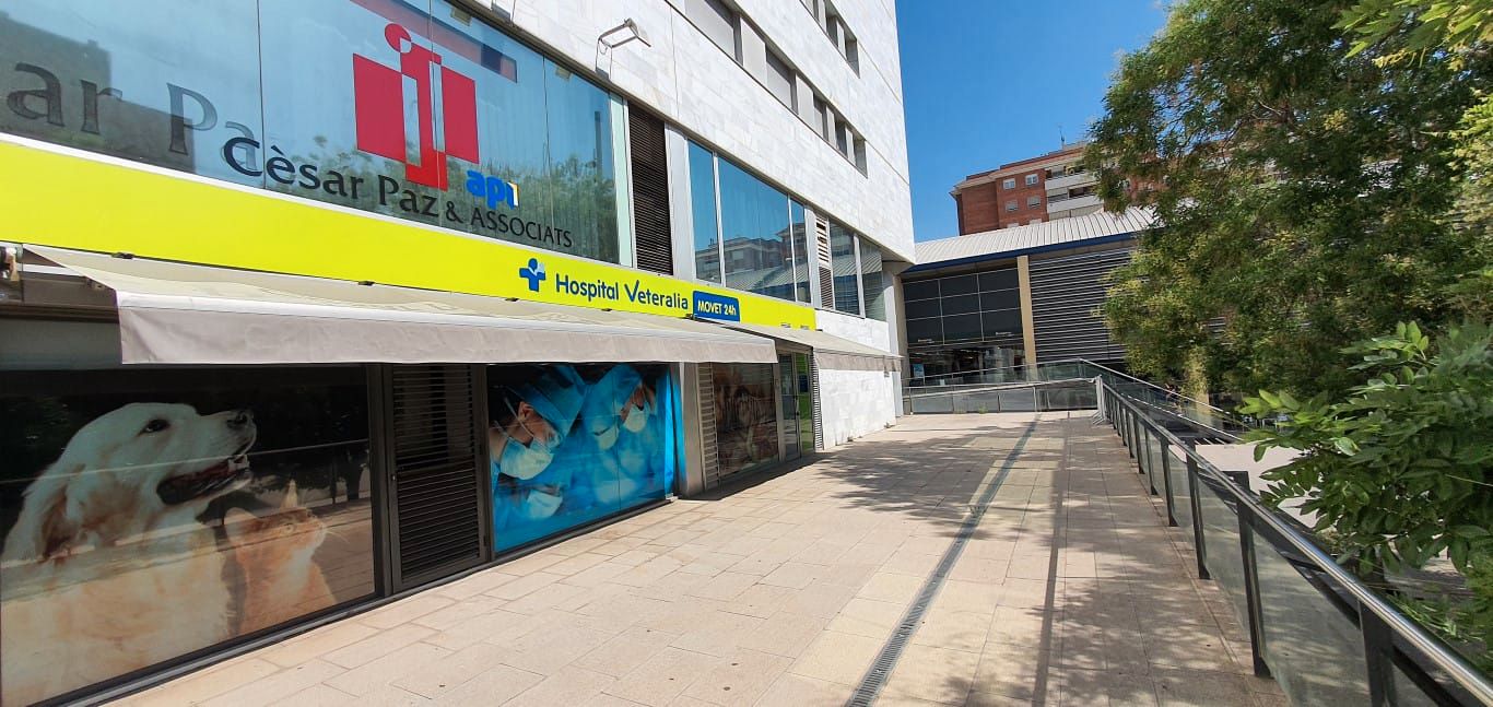 Exterior view of Office for sale in Mollet del Vallès  with Air Conditioner, Internet and Alarm